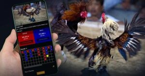 Đá Gà C1 VN88 - Luật Chơi Kỹ Thuật Và Kinh Nghiệm